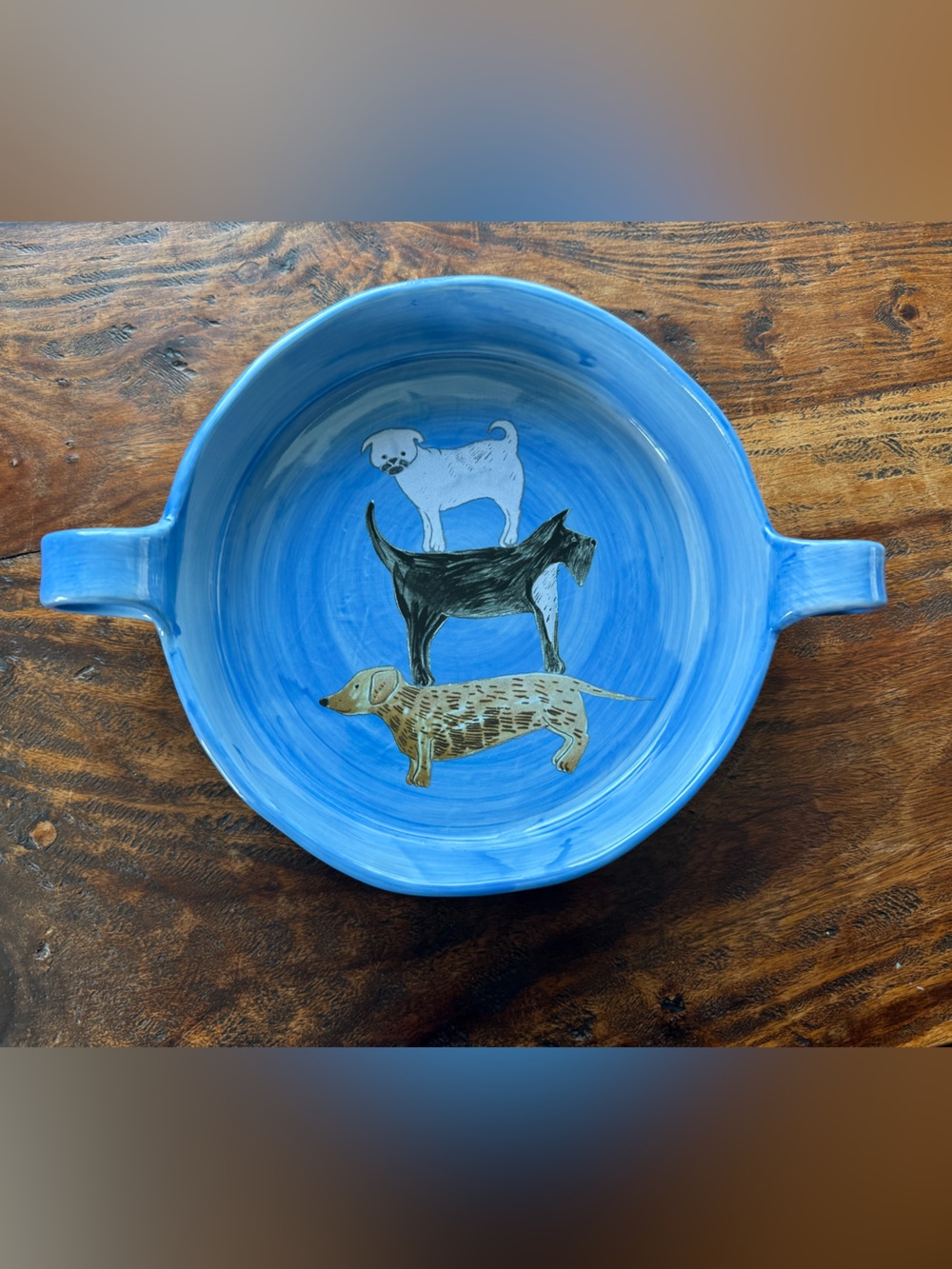 Anthropologie x Gemma Orkin Painted Pup Pie Dish